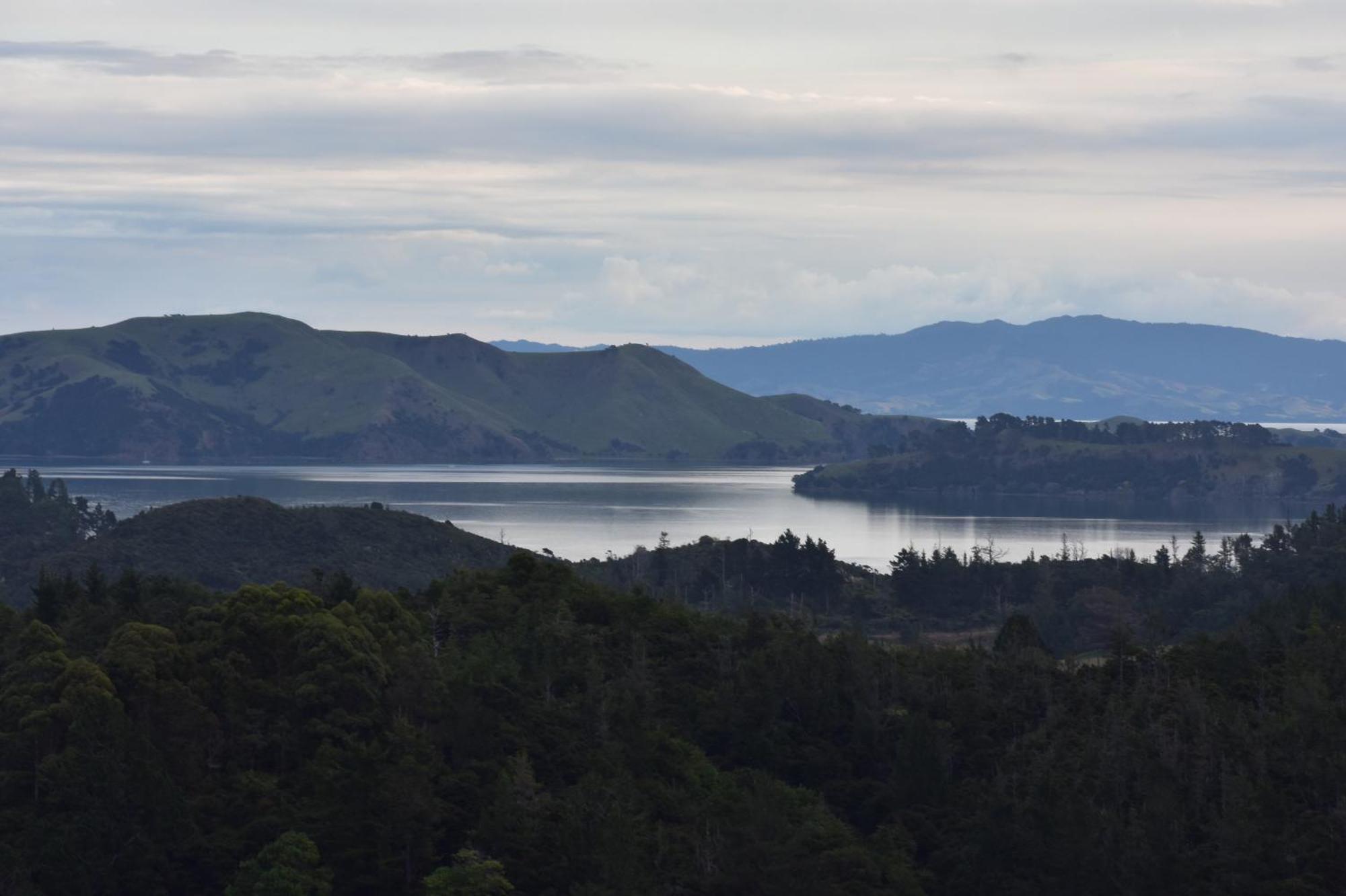 Atea Lodge Coromandel Eksteriør bilde